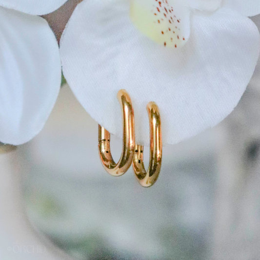 Gold Hoops on an Orchid Flower Petal