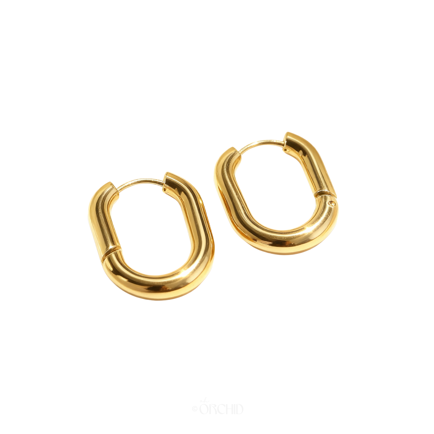 Lucia Hoops