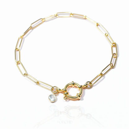 Goldi Vine Anklet